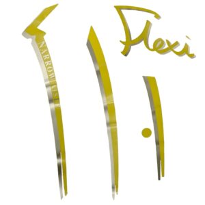 Flexi Logo